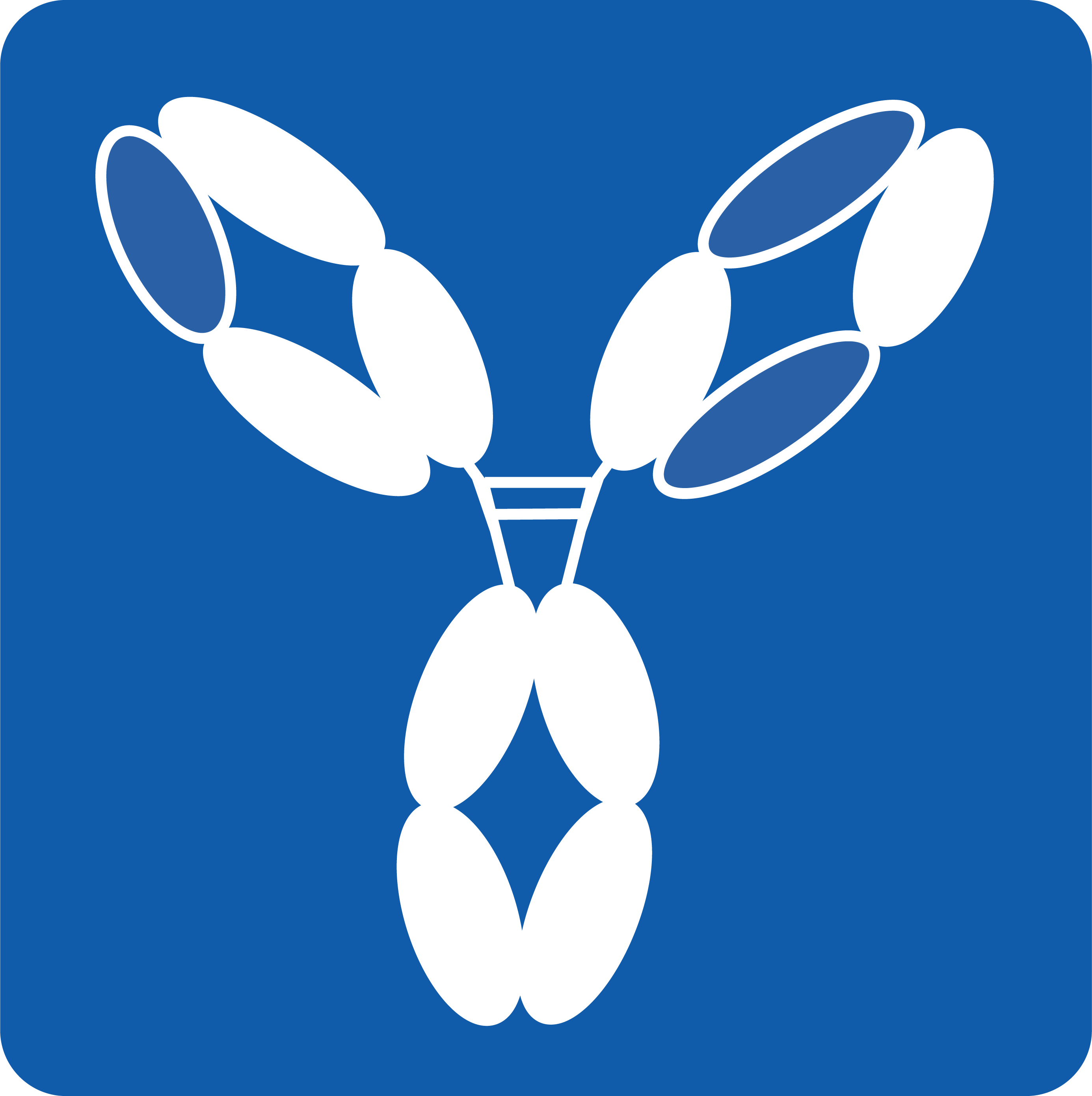 antibody icon